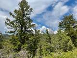 9395 Ridge Pine Rd - Photo 7