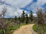 9395 Ridge Pine Rd - Photo 8