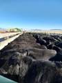  Old Malad Hwy - Photo 6