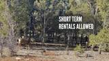 10550 Zions Dr. - Photo 4
