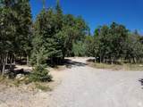 38 Pine Creek Rd - Photo 11