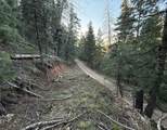 38 Pine Creek Rd - Photo 15