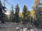 38 Pine Creek Rd - Photo 3