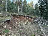 38 Pine Creek Rd - Photo 4