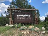 38 Pine Creek Rd - Photo 8