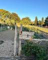 287 100 - Photo 5
