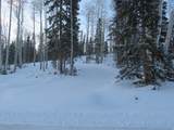 1 Tushar Mountain Ests - Photo 12