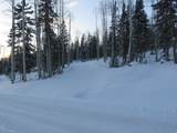 1 Tushar Mountain Ests - Photo 13