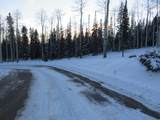 1 Tushar Mountain Ests - Photo 7