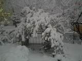 1812 Park St - Photo 11