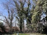 1812 Park St - Photo 8