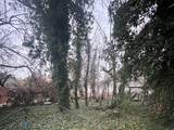 1812 Park St - Photo 10