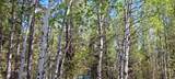 4376 Granite Rdg - Photo 2