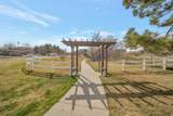 1476 Brunello Dr - Photo 19