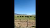 2174 York Ln - Photo 3