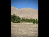 2174 York Ln - Photo 4