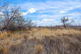 10035 Hwy 38 - Photo 15