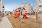 13222 Dominica Ln - Photo 32
