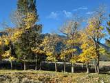 3600 Red Rock Pass Rd - Photo 31