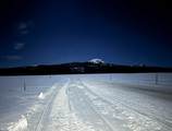 3600 Red Rock Pass Rd - Photo 37