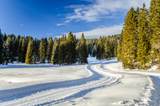 3600 Red Rock Pass Rd - Photo 39