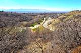 850 Donner Way - Photo 39
