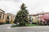 939 Donner Way - Photo 1