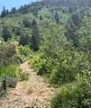 424 Beaver Creek Rd Hls - Photo 1