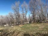 1040 Pineview Rd - Photo 24