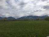 375 1900 - Photo 5