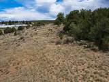 102 Kestrel Cir - Photo 18