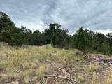 102 Kestrel Cir - Photo 3