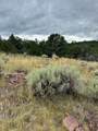 102 Kestrel Cir - Photo 4