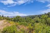 2412 Bull Moose Dr - Photo 17