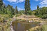 2412 Bull Moose Dr - Photo 18