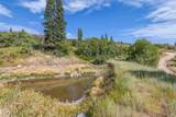 2412 Bull Moose Dr - Photo 19