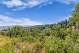 2412 Bull Moose Dr - Photo 22