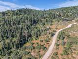2412 Bull Moose Dr - Photo 4