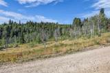 2412 Bull Moose Dr - Photo 8