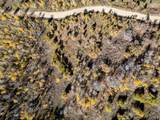 276 Bear Tooth Rdg - Photo 11