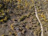 276 Bear Tooth Rdg - Photo 12