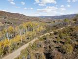 276 Bear Tooth Rdg - Photo 14