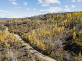 276 Bear Tooth Rdg - Photo 4