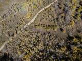 276 Bear Tooth Rdg - Photo 9