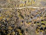 276 Bear Tooth Rdg - Photo 10
