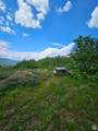 3388 Oak Cyn - Photo 4