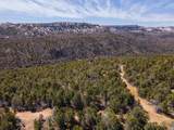  Nielsen Dr - Photo 11
