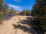  Nielsen Dr - Photo 17