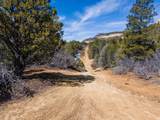  Nielsen Dr - Photo 19