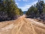  Nielsen Dr - Photo 4